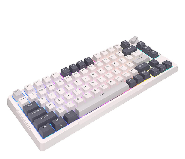 Royal Kludge RKH81 RGB Sky (Cyan switch) - Biała RKH81 skycyan switch - 1198926 - zdjęcie 2